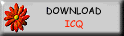 Link to ICQ DownLoad